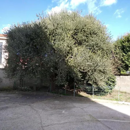 Apartment Olivo Vigevano