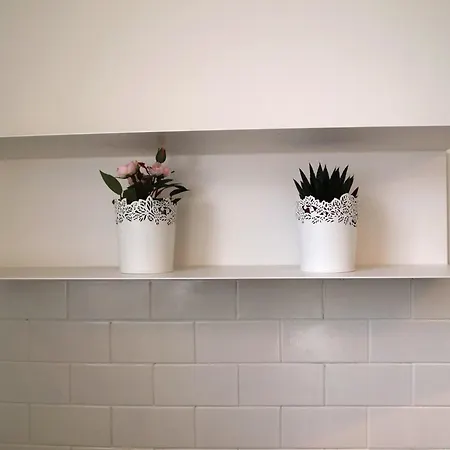 Apartment Olivo *