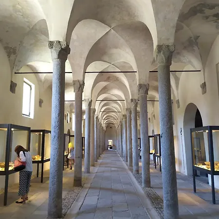 Olivo * Vigevano